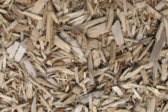 biomass boilers Reynoldston